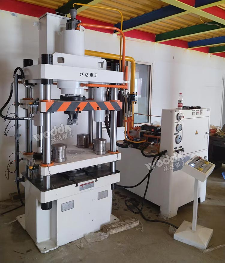 100噸動(dòng)物營(yíng)養(yǎng)飼料壓塊機(jī)